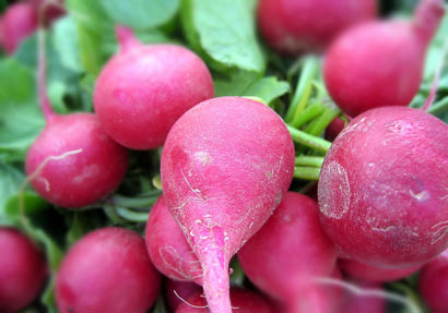 一点红萝卜 01-1337934559-10061.jpg