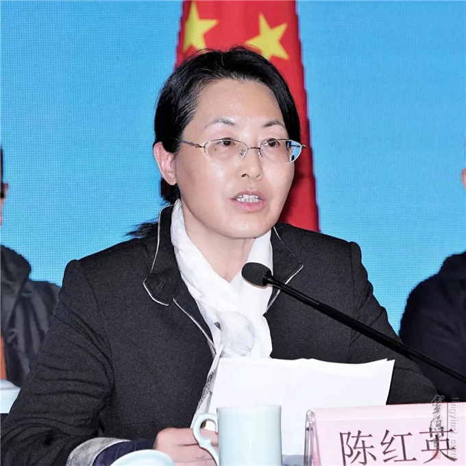 杭州市副市长陈红英致辞