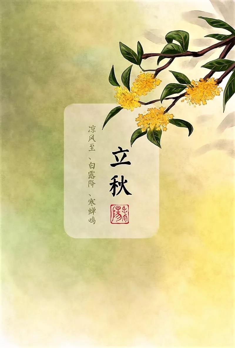 二十四节气 | 立秋 —— 云天收夏色木叶动秋声