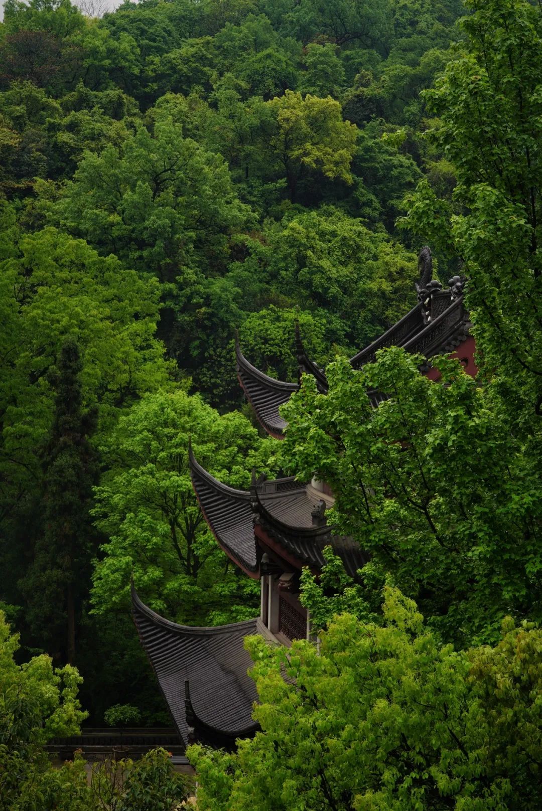 龙珠山寺