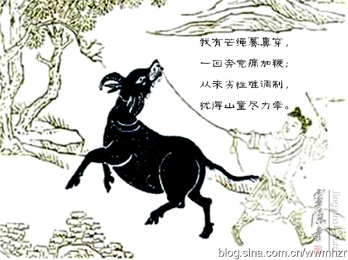 牧牛圖