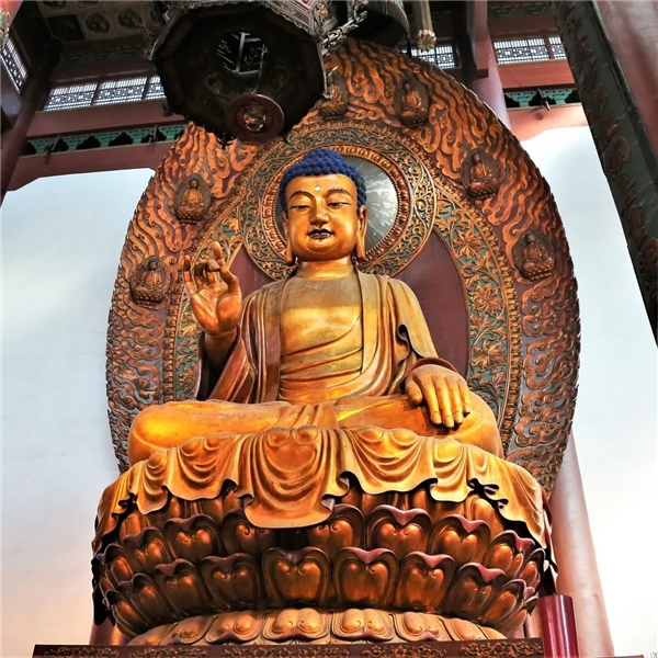 ۱Ī鸺ɻʮ