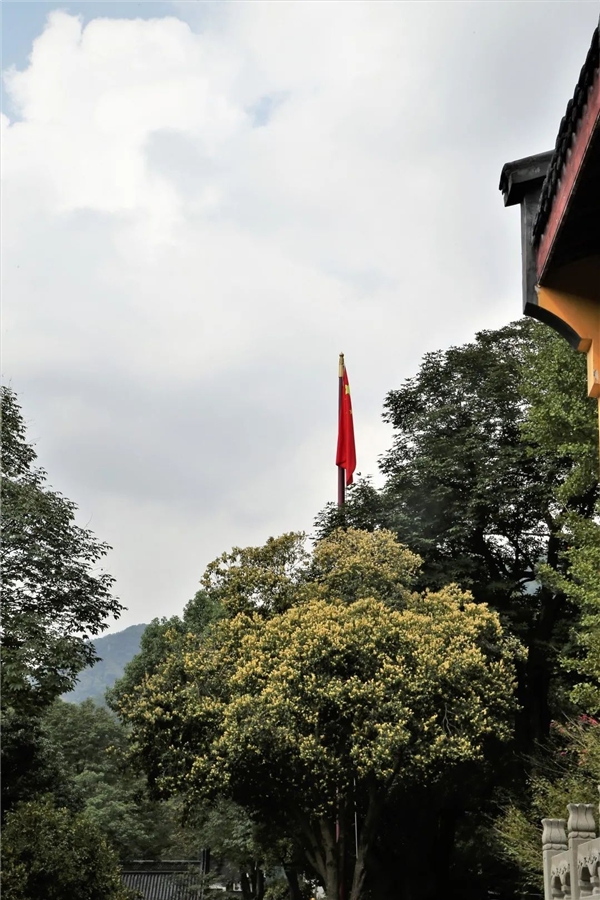 image001.jpg