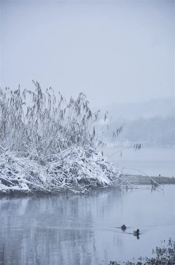 image003.jpg