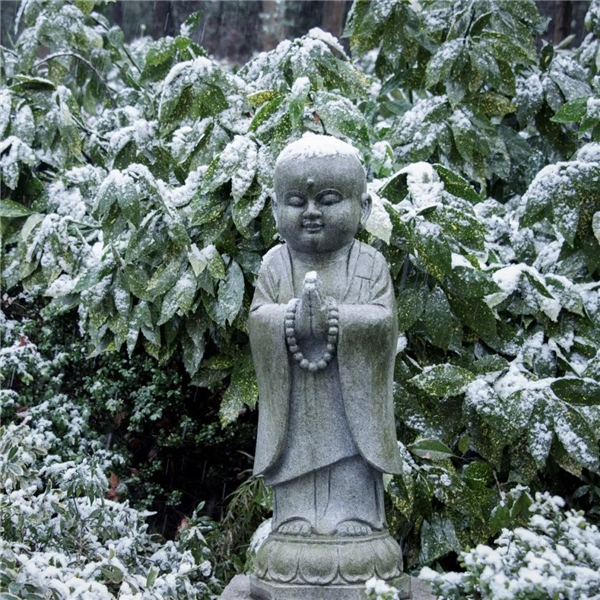 image013.jpg